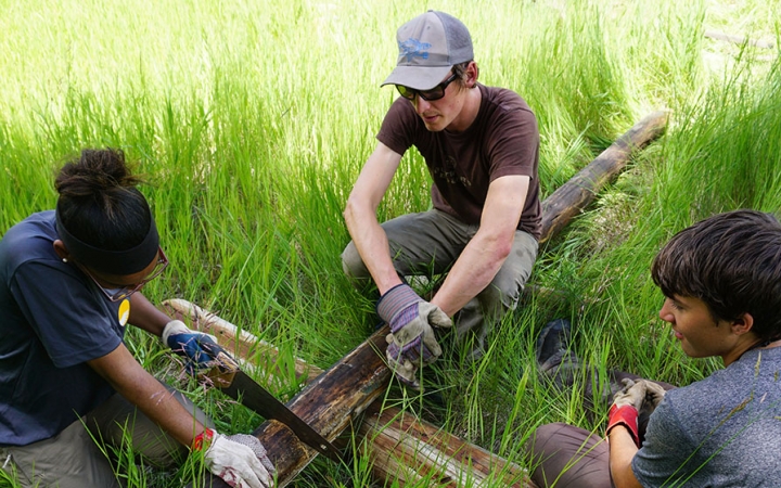 One student uses a saw on a piece of wood while two others brace it.